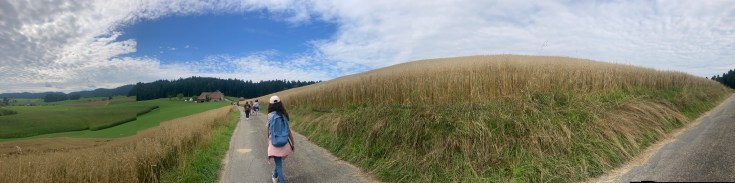 Milch entlang der&nbsp;Strasse