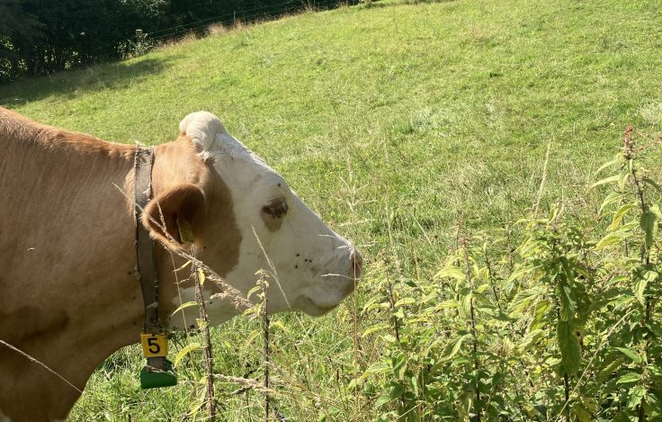 Aus der Sicht der&nbsp;Kinder